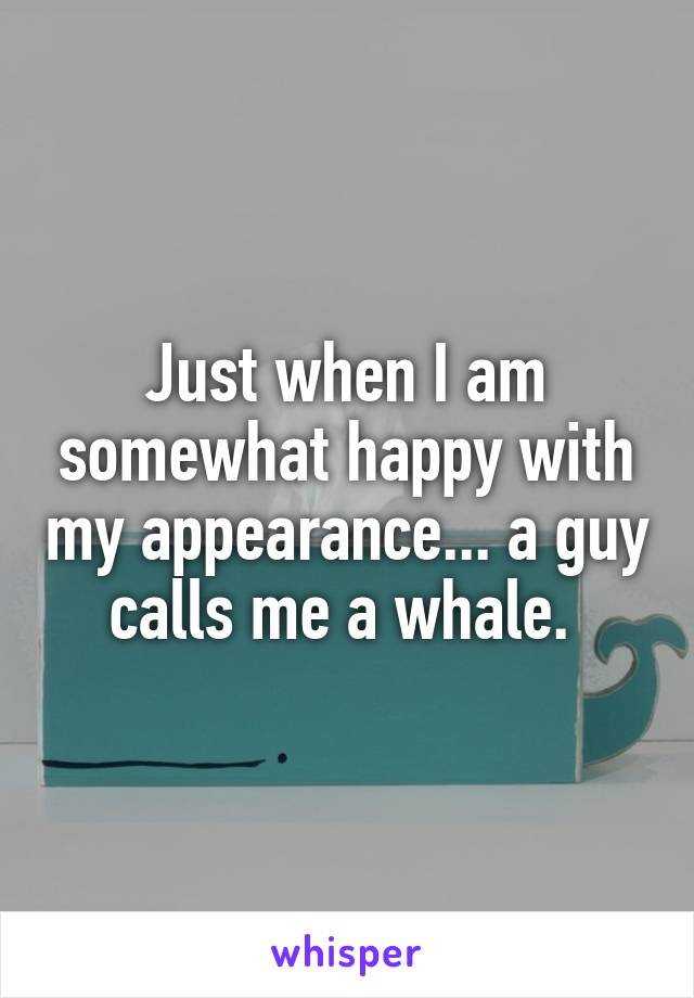 Just when I am somewhat happy with my appearance... a guy calls me a whale. 