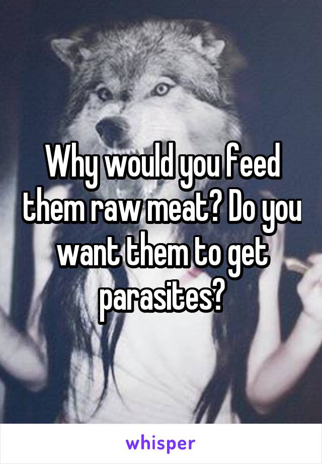 Why would you feed them raw meat? Do you want them to get parasites?