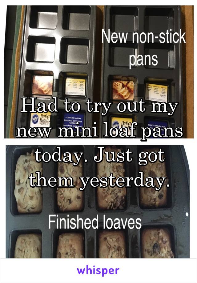 Had to try out my new mini loaf pans today. Just got them yesterday.