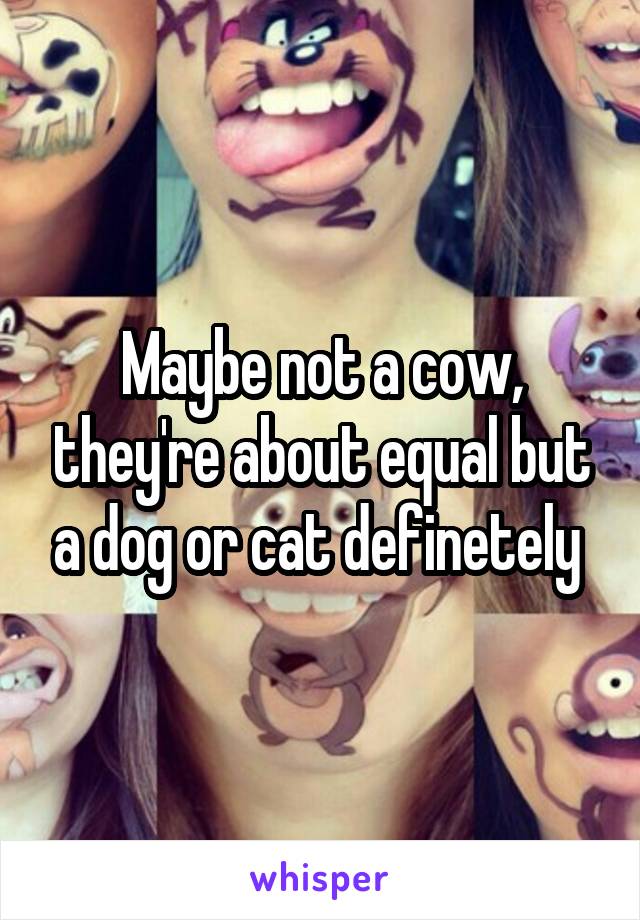 Maybe not a cow, they're about equal but a dog or cat definetely 
