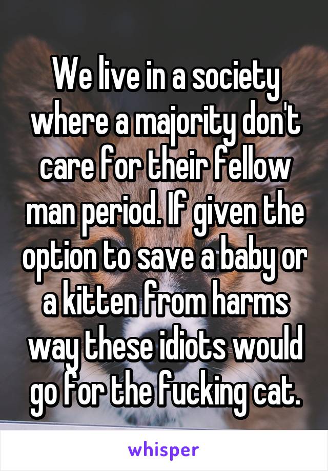 We live in a society where a majority don't care for their fellow man period. If given the option to save a baby or a kitten from harms way these idiots would go for the fucking cat.