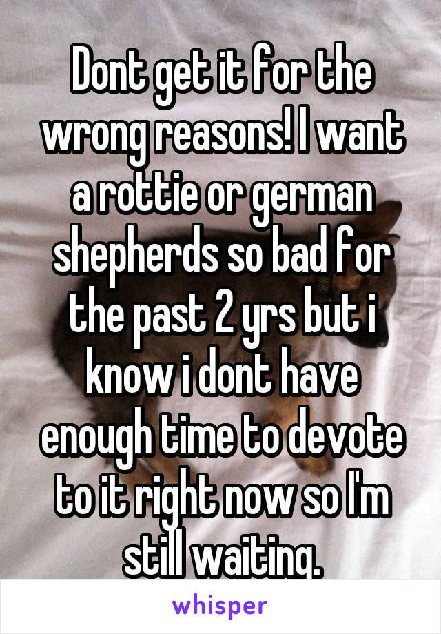 Dont get it for the wrong reasons! I want a rottie or german shepherds so bad for the past 2 yrs but i know i dont have enough time to devote to it right now so I'm still waiting.