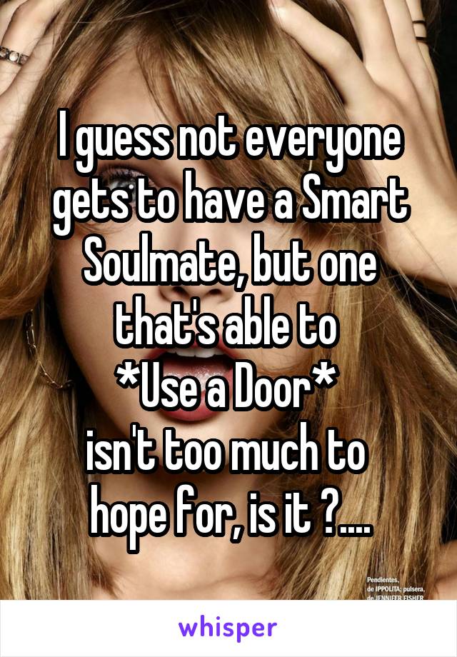 I guess not everyone gets to have a Smart Soulmate, but one that's able to 
*Use a Door* 
isn't too much to 
hope for, is it ?....