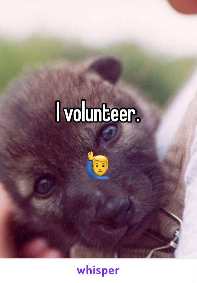 I volunteer. 

🙋‍♂️