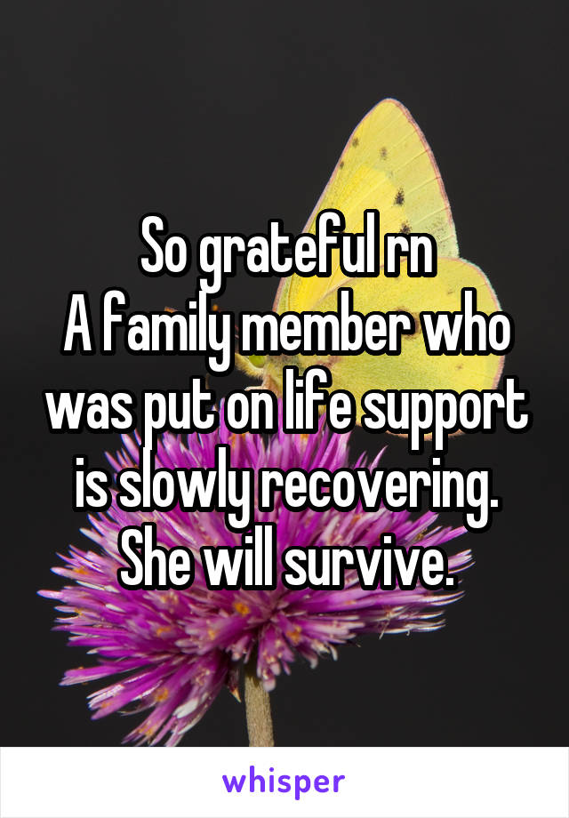 So grateful rn
A family member who was put on life support is slowly recovering. She will survive.