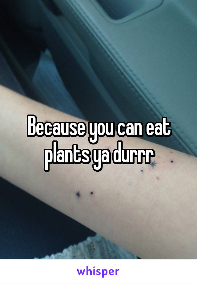 Because you can eat plants ya durrr