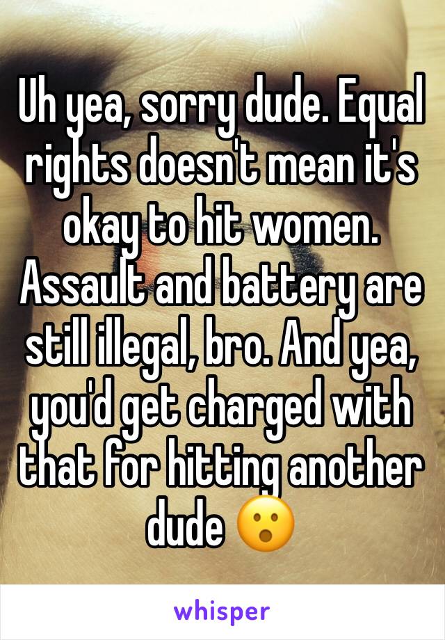 Uh yea, sorry dude. Equal rights doesn't mean it's okay to hit women. Assault and battery are still illegal, bro. And yea, you'd get charged with that for hitting another dude 😮