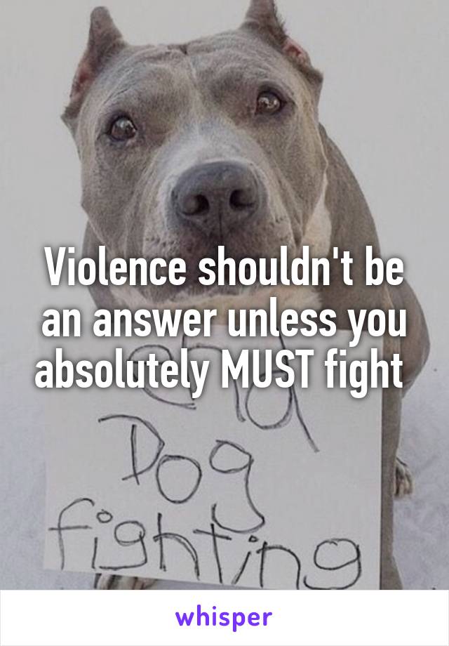 Violence shouldn't be an answer unless you absolutely MUST fight 