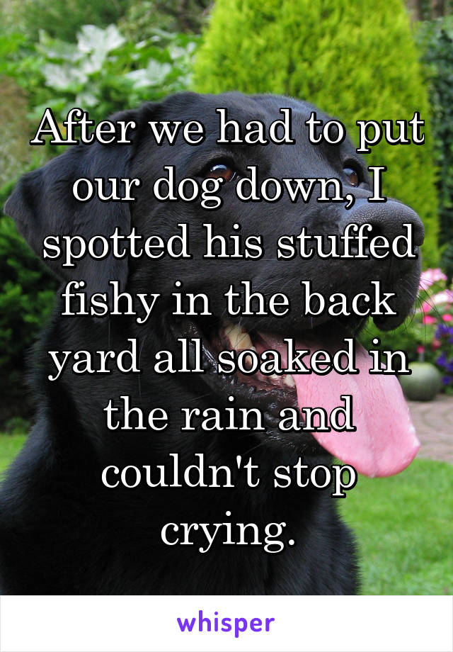 After we had to put our dog down, I spotted his stuffed fishy in the back yard all soaked in the rain and couldn't stop crying.