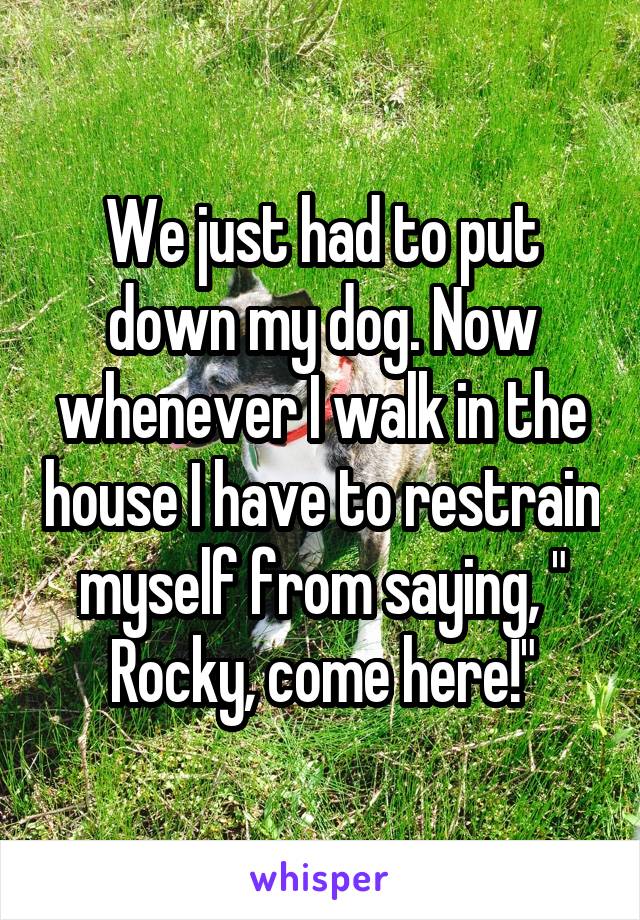 We just had to put down my dog. Now whenever I walk in the house I have to restrain myself from saying, " Rocky, come here!"