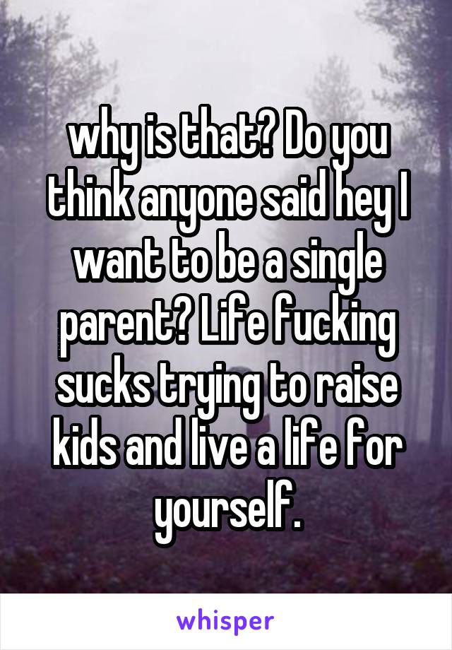 why is that? Do you think anyone said hey I want to be a single parent? Life fucking sucks trying to raise kids and live a life for yourself.