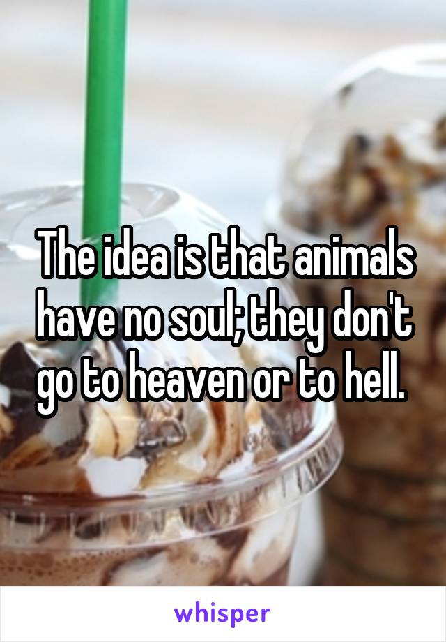 The idea is that animals have no soul; they don't go to heaven or to hell. 