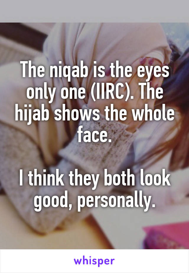 The niqab is the eyes only one (IIRC). The hijab shows the whole face.

I think they both look good, personally.