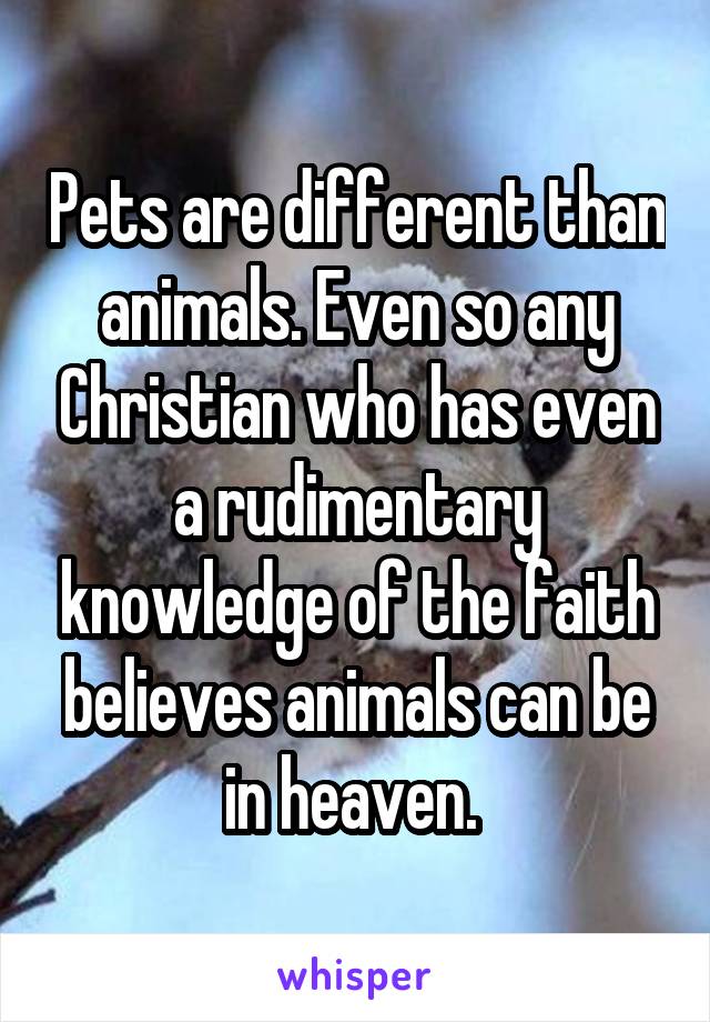 Pets are different than animals. Even so any Christian who has even a rudimentary knowledge of the faith believes animals can be in heaven. 