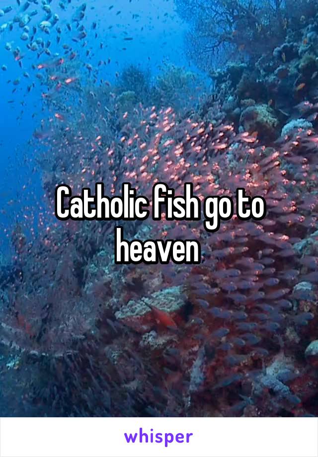 Catholic fish go to heaven 