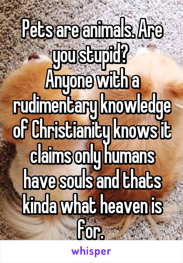 Pets are animals. Are you stupid? 
Anyone with a rudimentary knowledge of Christianity knows it claims only humans have souls and thats kinda what heaven is for. 