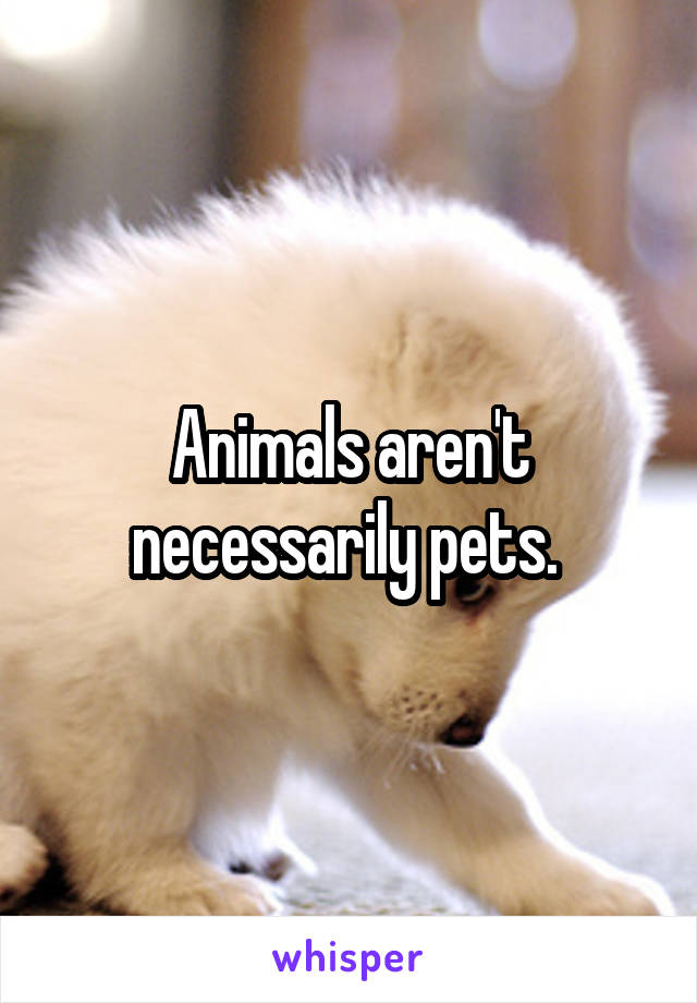 Animals aren't necessarily pets. 