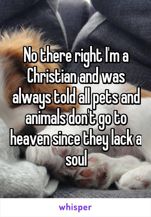 No there right I'm a Christian and was always told all pets and animals don't go to heaven since they lack a soul