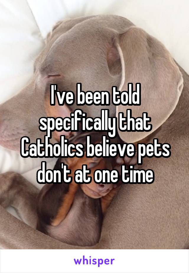 I've been told specifically that Catholics believe pets don't at one time