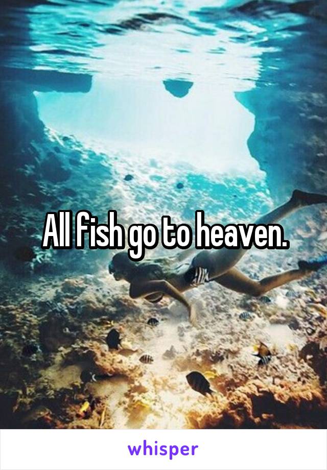 All fish go to heaven.