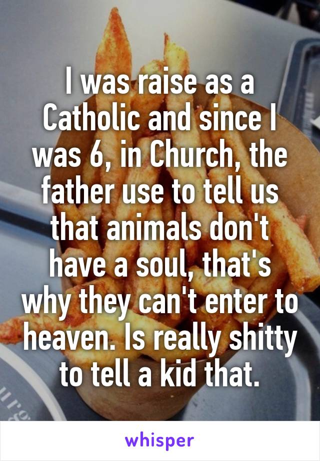 I was raise as a Catholic and since I was 6, in Church, the father use to tell us that animals don't have a soul, that's why they can't enter to heaven. Is really shitty to tell a kid that.