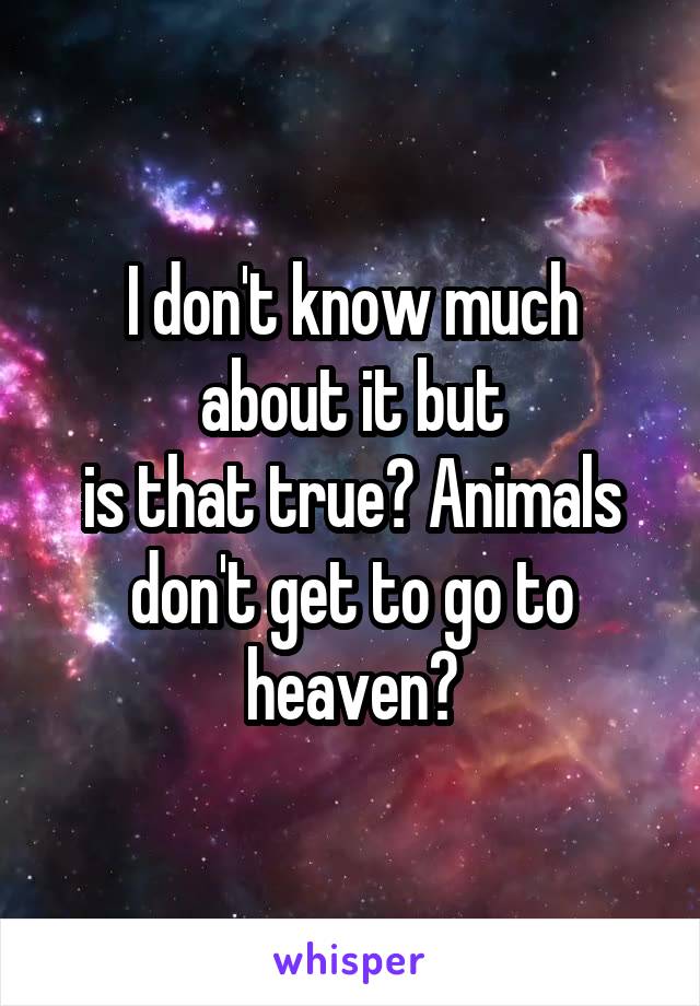 I don't know much about it but
is that true? Animals don't get to go to heaven?