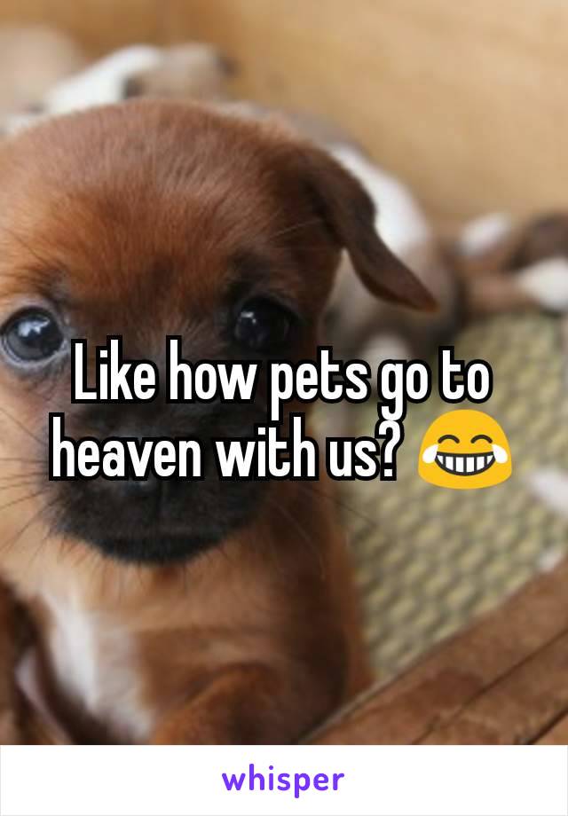 Like how pets go to heaven with us? 😂