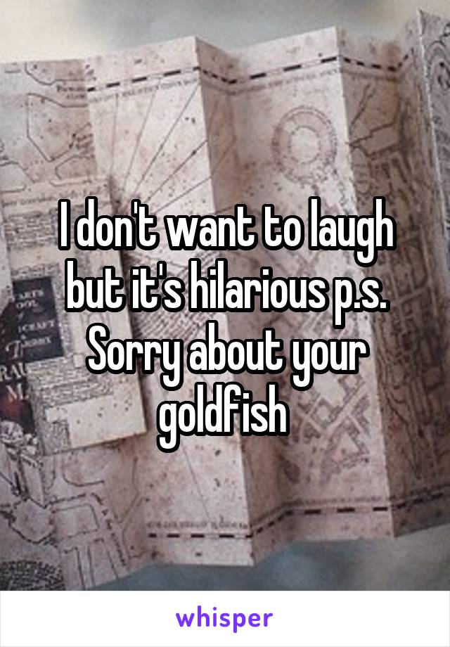 I don't want to laugh but it's hilarious p.s. Sorry about your goldfish 