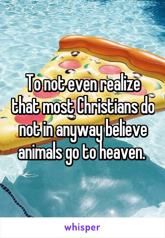 To not even realize that most Christians do not in anyway believe animals go to heaven. 