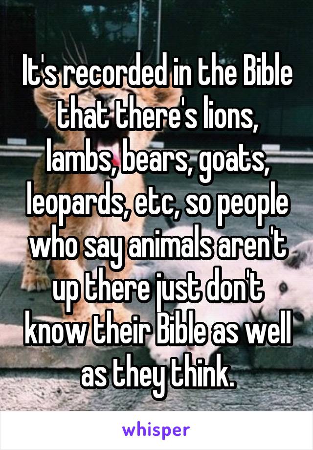 It's recorded in the Bible that there's lions, lambs, bears, goats, leopards, etc, so people who say animals aren't up there just don't know their Bible as well as they think.