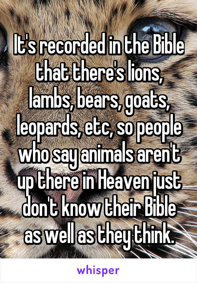 It's recorded in the Bible that there's lions, lambs, bears, goats, leopards, etc, so people who say animals aren't up there in Heaven just don't know their Bible as well as they think.