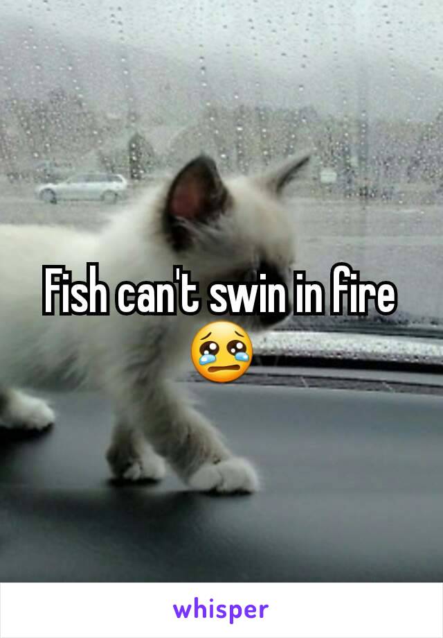 Fish can't swin in fire 😢