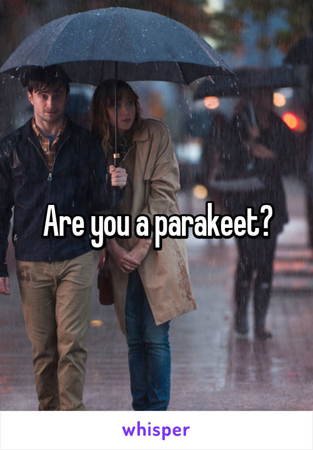 Are you a parakeet?