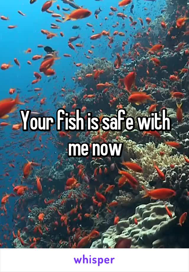 
Your fish is safe with me now