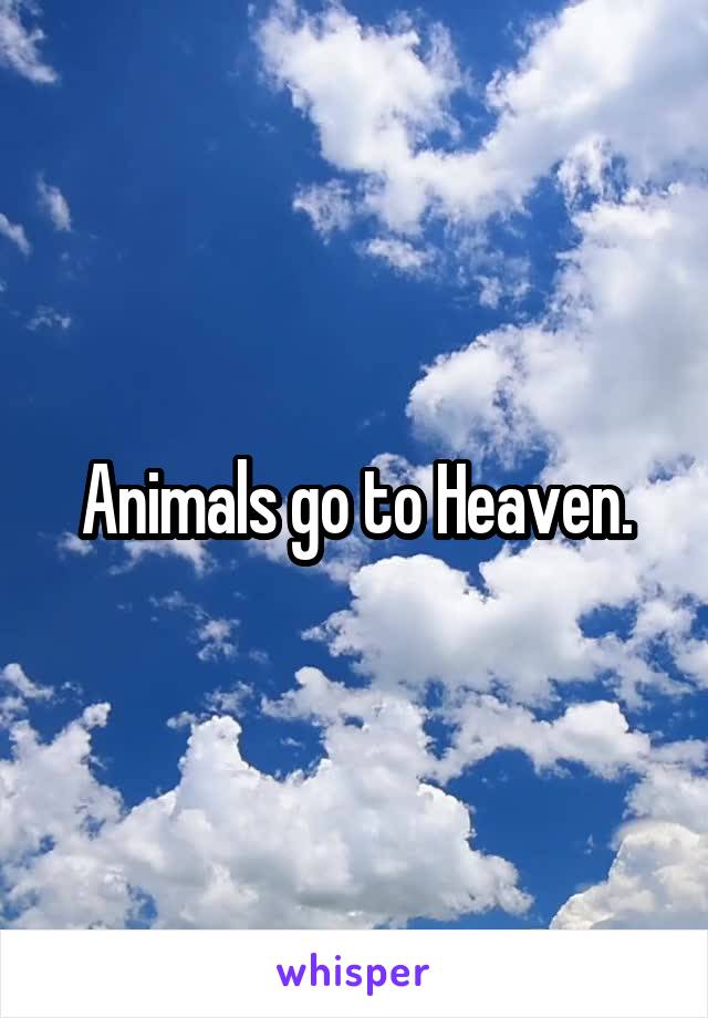 Animals go to Heaven.