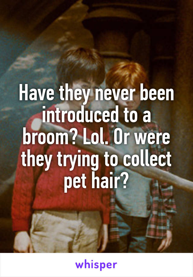 Have they never been introduced to a broom? Lol. Or were they trying to collect pet hair?