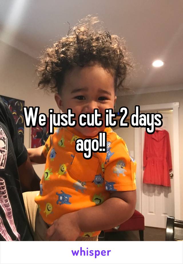 




We just cut it 2 days ago!! 