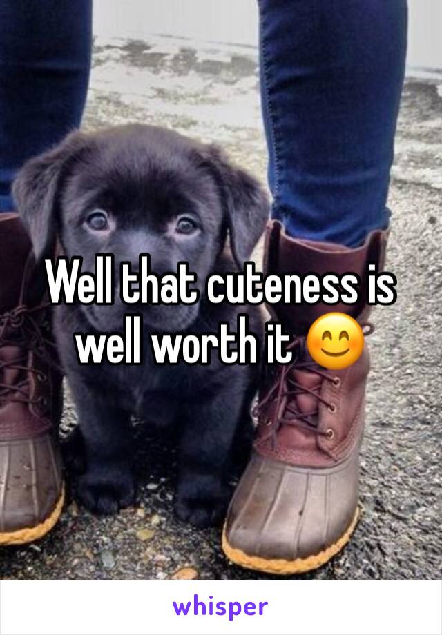 Well that cuteness is well worth it 😊