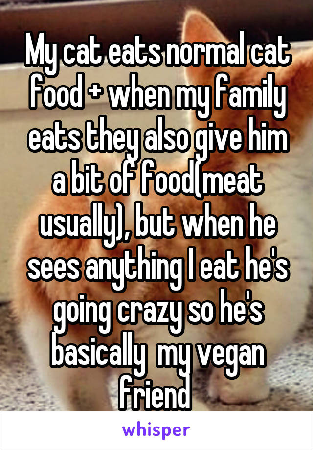 My cat eats normal cat food + when my family eats they also give him a bit of food(meat usually), but when he sees anything I eat he's going crazy so he's basically  my vegan friend 