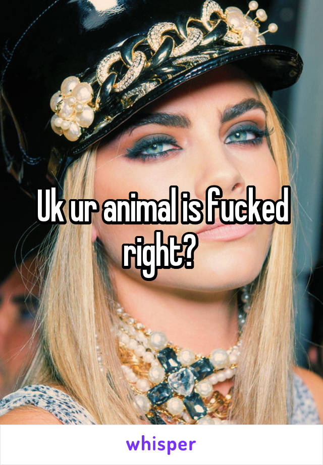 Uk ur animal is fucked right? 