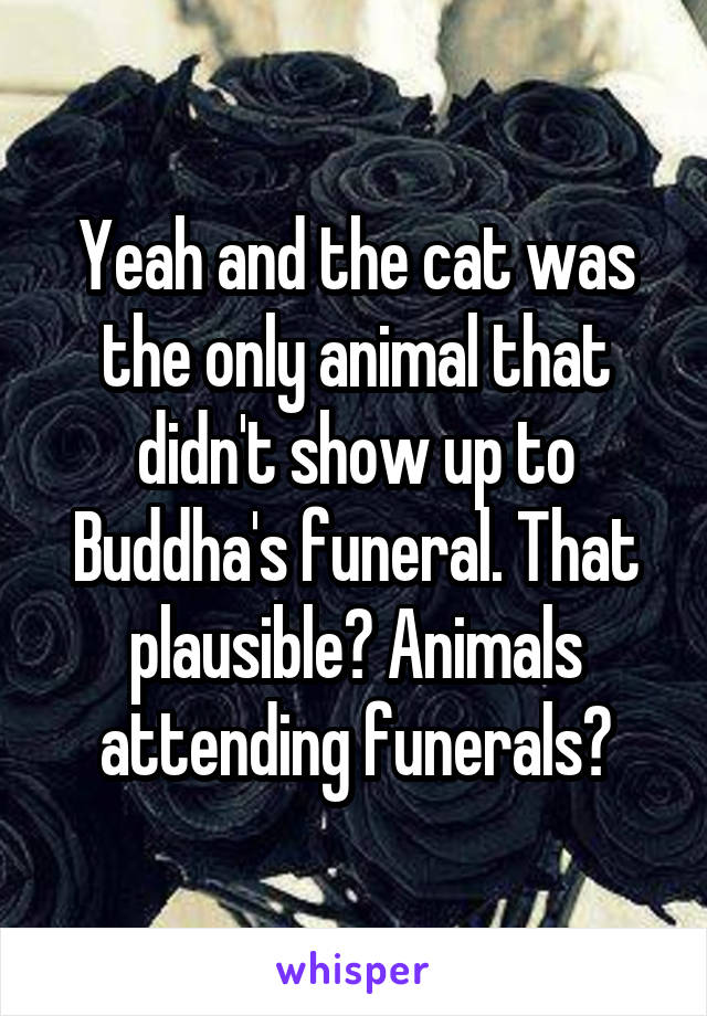 Yeah and the cat was the only animal that didn't show up to Buddha's funeral. That plausible? Animals attending funerals?