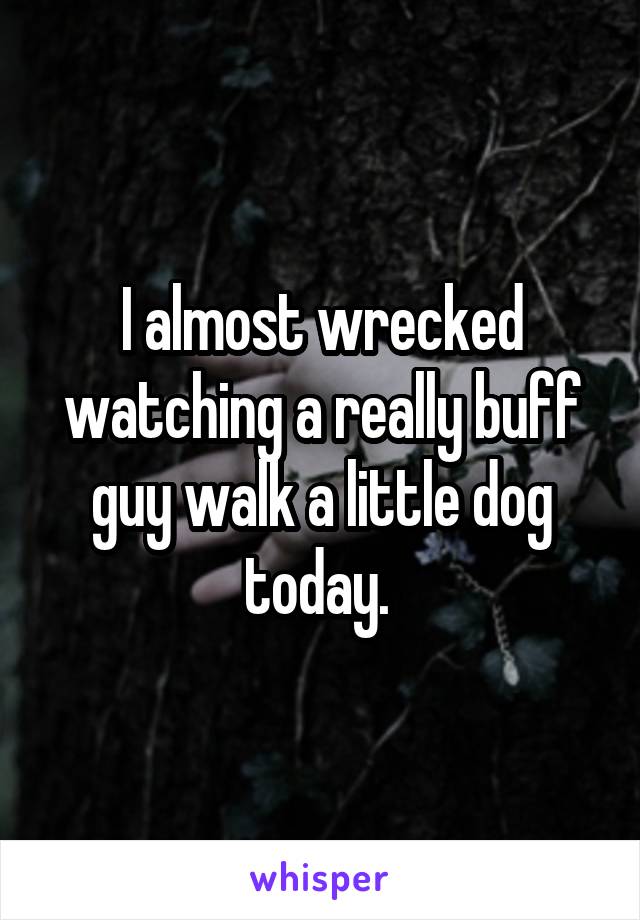 I almost wrecked watching a really buff guy walk a little dog today. 