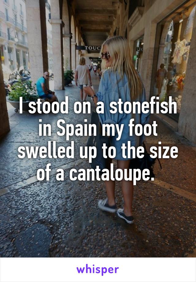 I stood on a stonefish in Spain my foot swelled up to the size of a cantaloupe. 