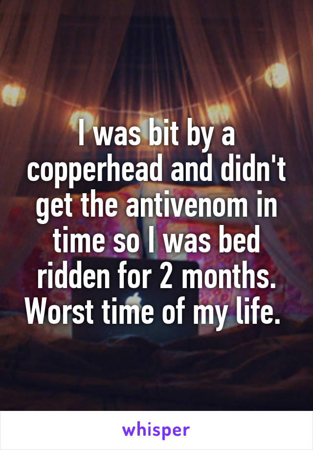 I was bit by a copperhead and didn't get the antivenom in time so I was bed ridden for 2 months. Worst time of my life. 