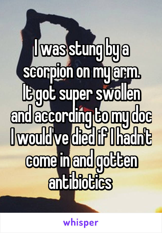 I was stung by a scorpion on my arm.
It got super swollen and according to my doc I would've died if I hadn't come in and gotten antibiotics 