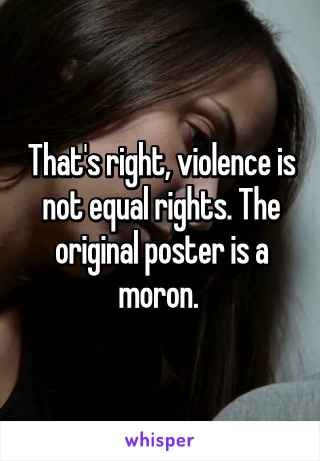 That's right, violence is not equal rights. The original poster is a moron. 