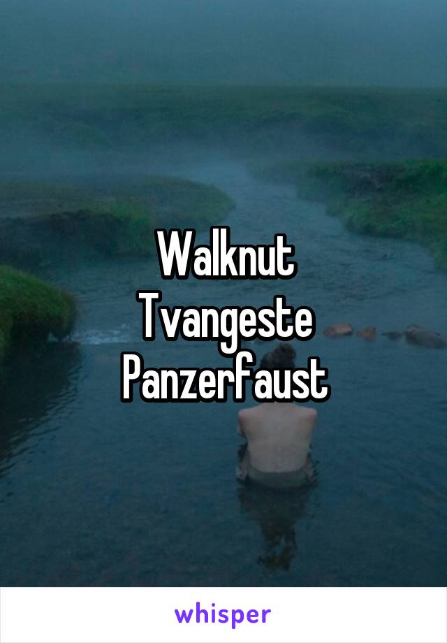 Walknut
Tvangeste
Panzerfaust