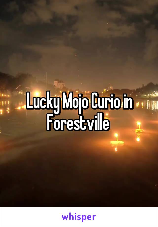 Lucky Mojo Curio in Forestville 