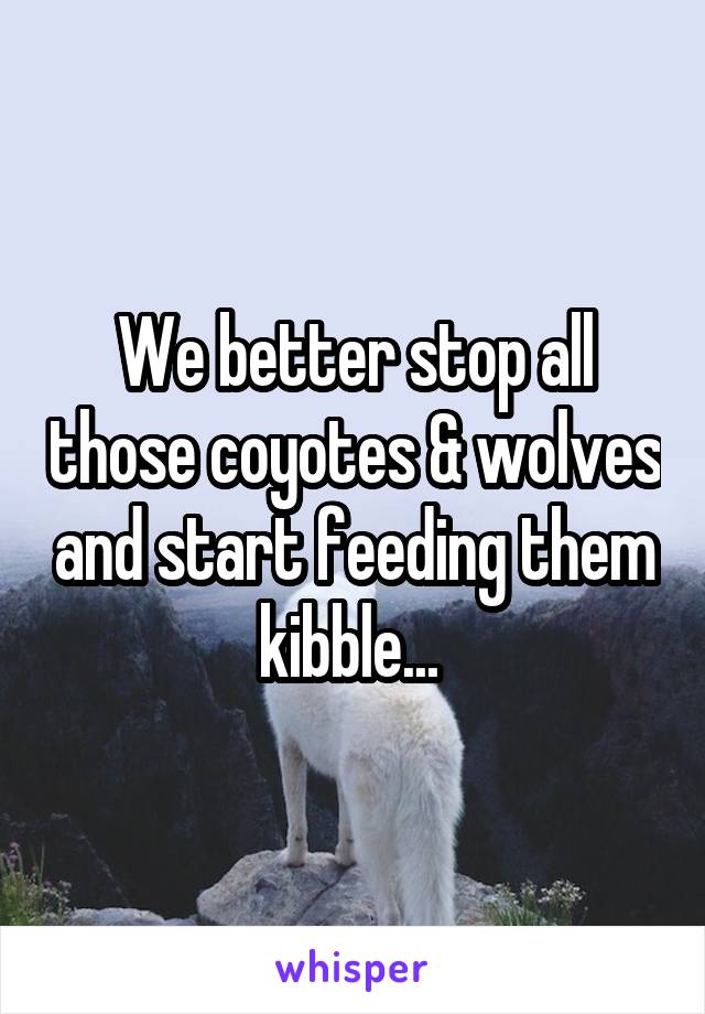 We better stop all those coyotes & wolves and start feeding them kibble... 