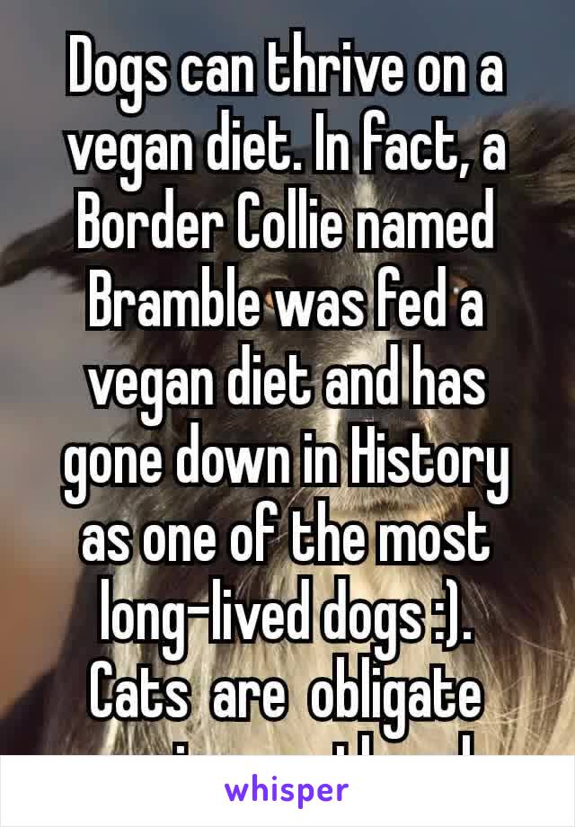 Dogs can thrive on a vegan diet. In fact, a Border Collie named Bramble was fed a vegan diet and has gone down in History as one of the most long-lived dogs :).
Cats  are  obligate​carnivores, though.